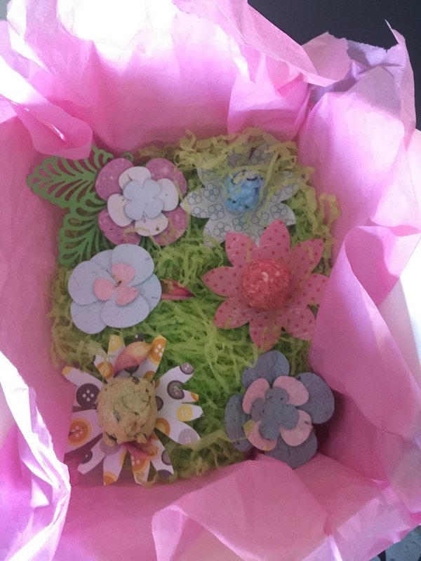 Garden in a box, seed paper &amp; Seed bomb flowers. Irish wildflower &amp; Sunflower seeds