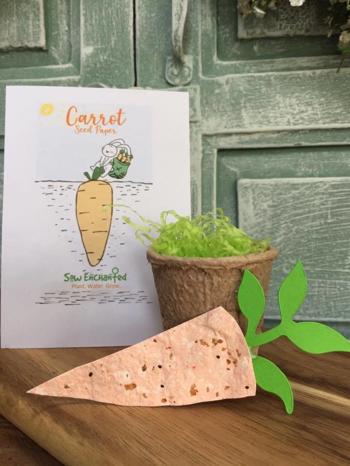 Carrot Seed Paper (with pot)