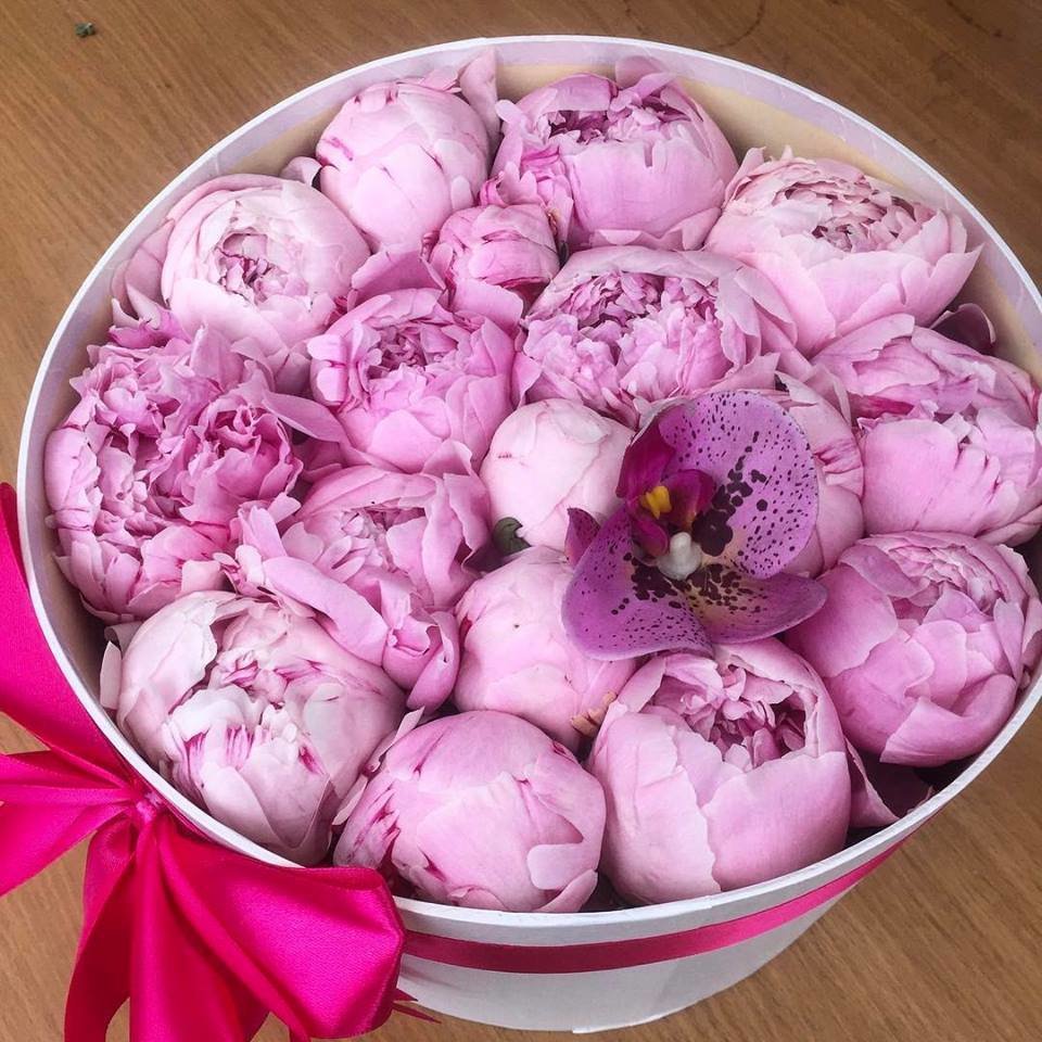 Заказать Комплимент Из Зефира В Коробочке Пион