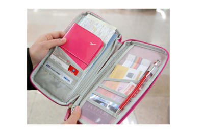 Travel organizer for passport documents credit cards money briefcase