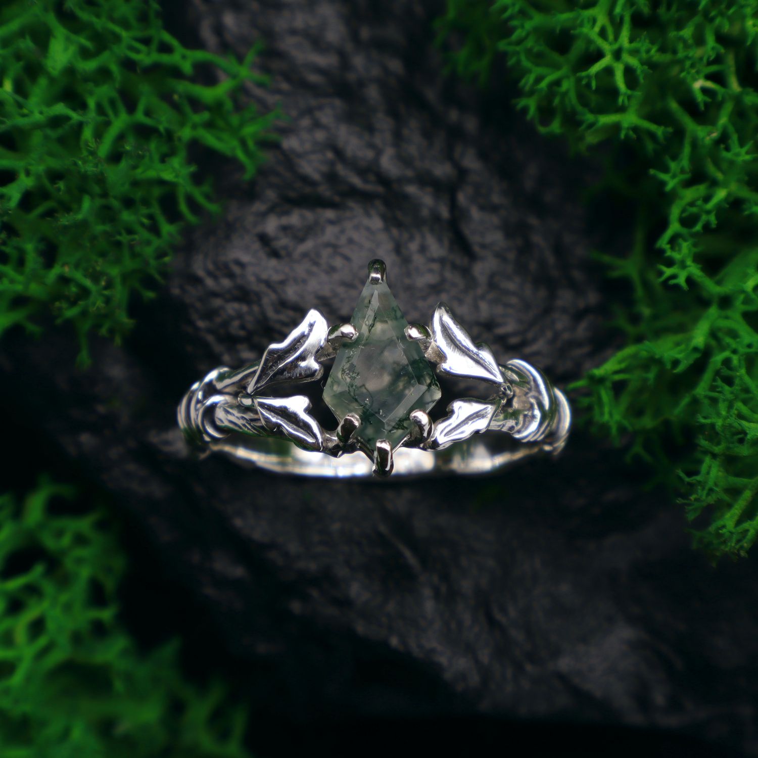 Leśny diadem