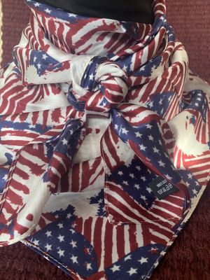 1313 X-Americana Silk Wild Rags