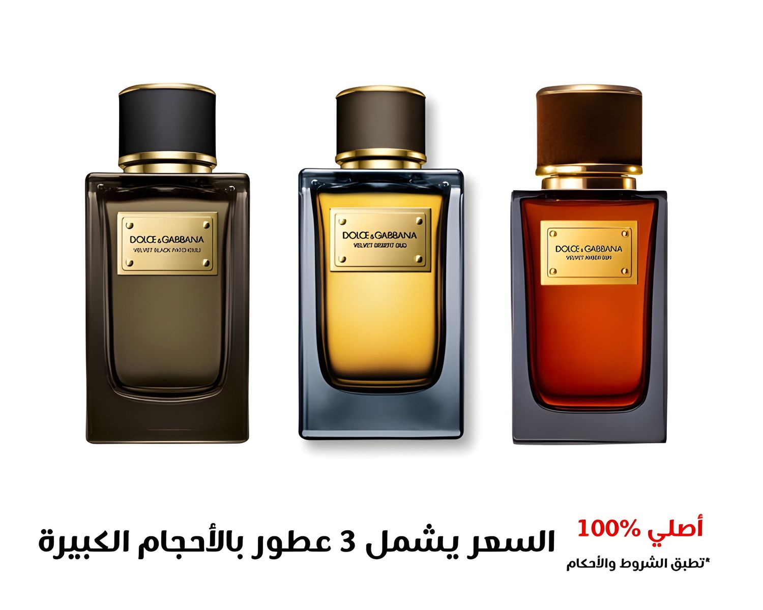 مجموعة عطور دولتشي غابانا
