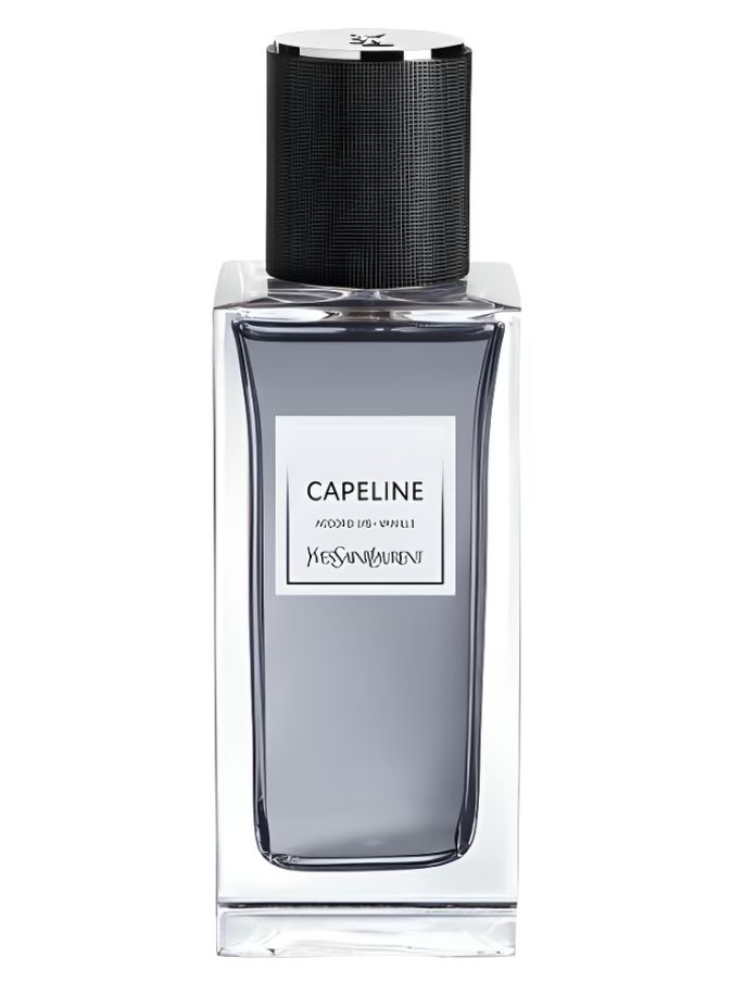 Capeline Yves Saint Laurent للجنسين