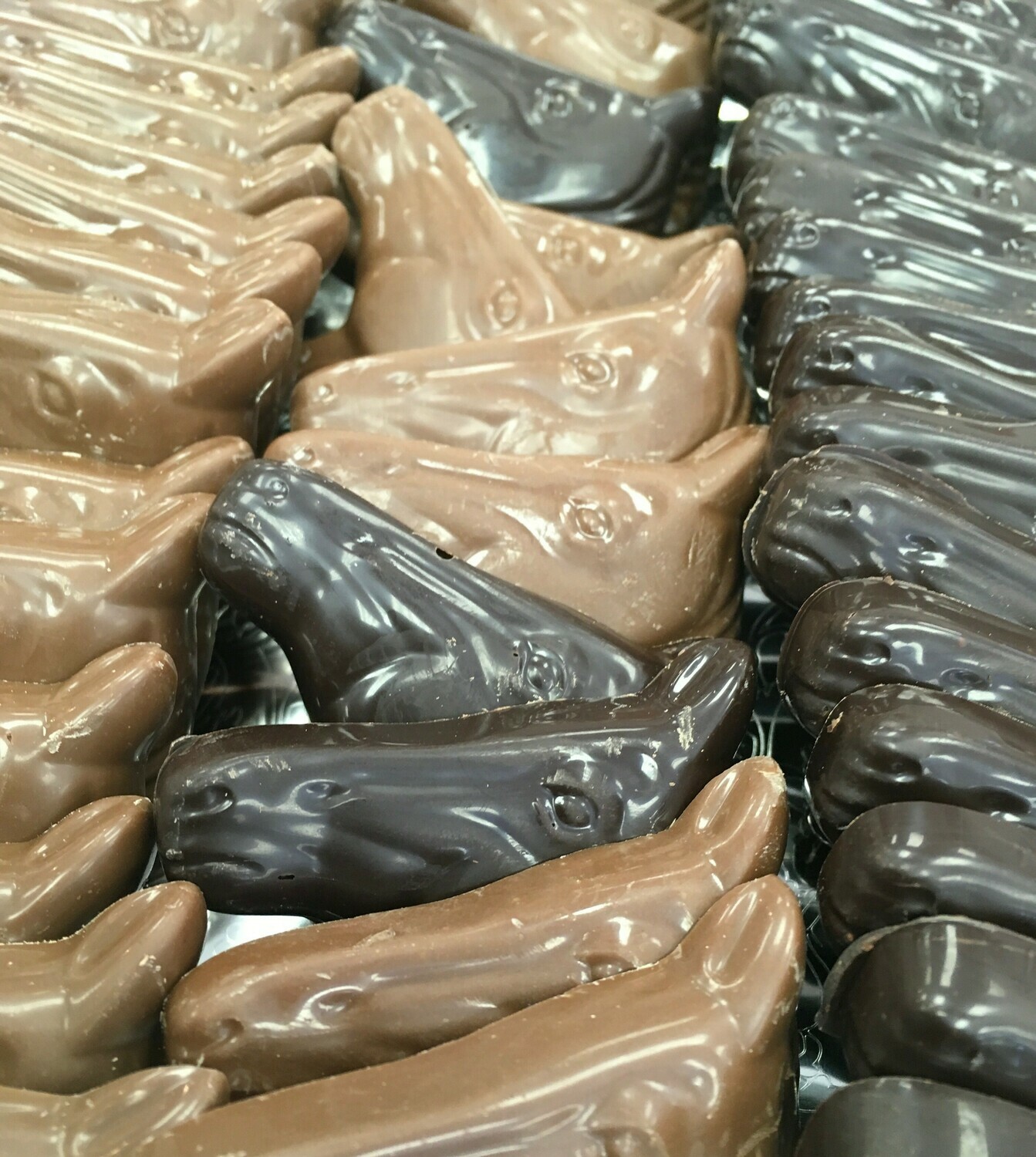 Milk Chocolate Horse Heads.  Approx. 20 to a Pound