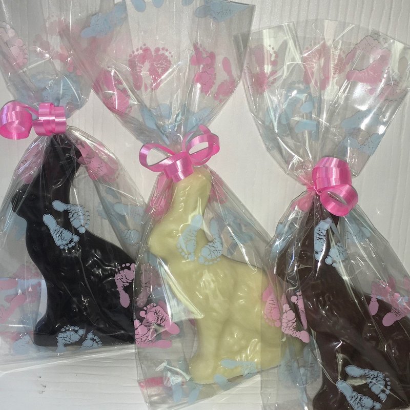 Little Brother Baby Bunny Favors (10)