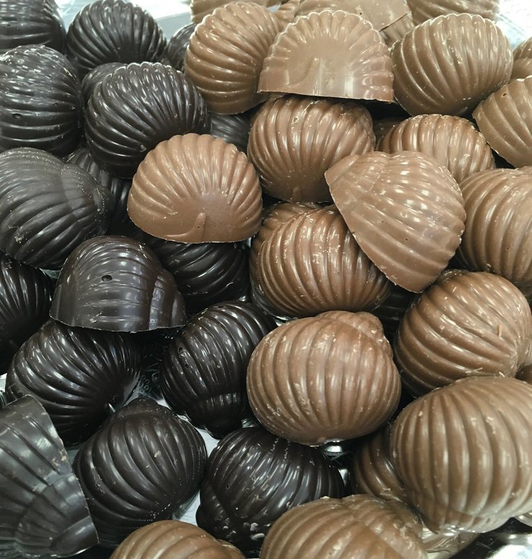 Solid Chocolate Sea Shells.  Peanut and Gluten Free. 32 to a Lb.