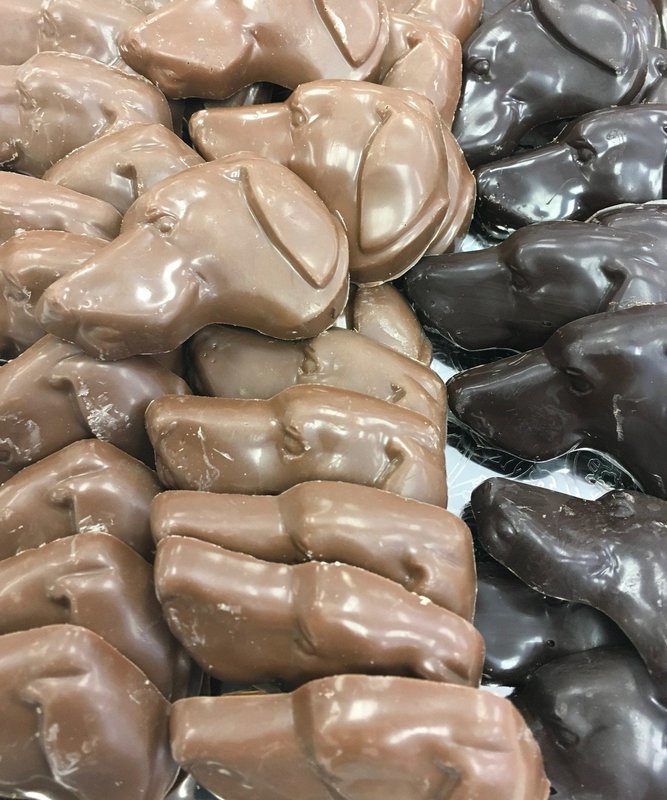 Solid Chocolate Dog Heads.  1 1/2" x 2 1/4" approx. Peanut and Gluten Free.  28 to a Lb.