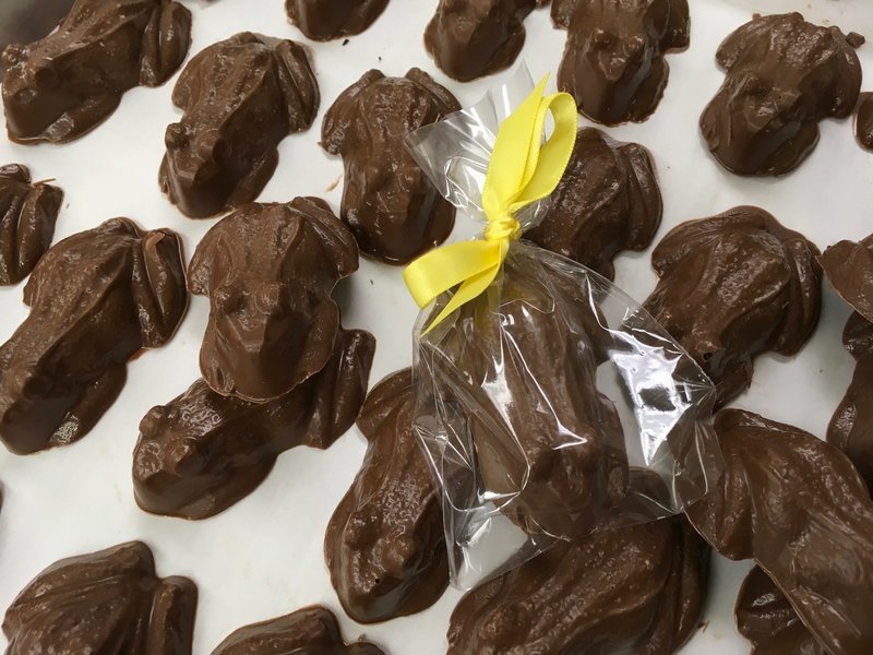 Solid Chocolate Frogs.  Peanut and Gluten Free.  20 to a Lb. Bag and Bow not included.