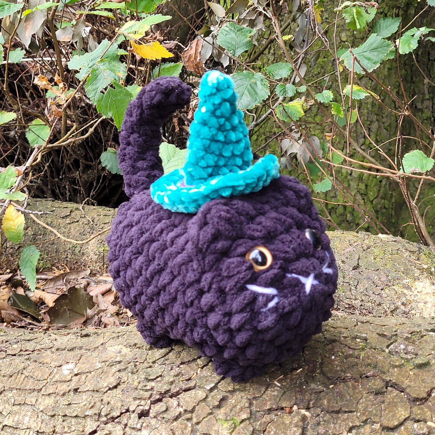 Witchy Cat - Green Hat