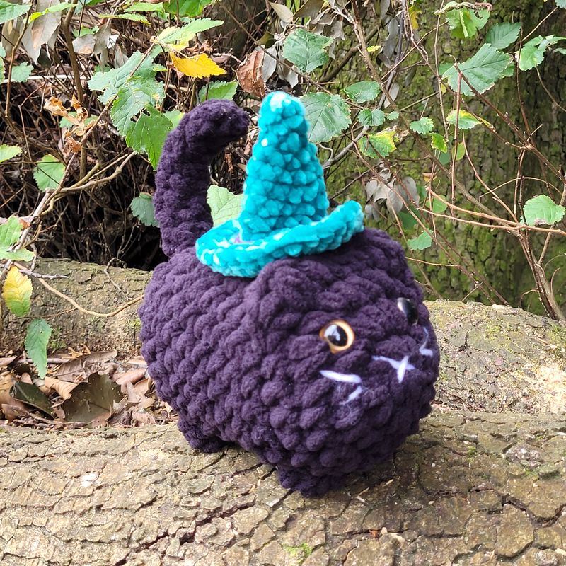 Witchy Cat - Green Hat