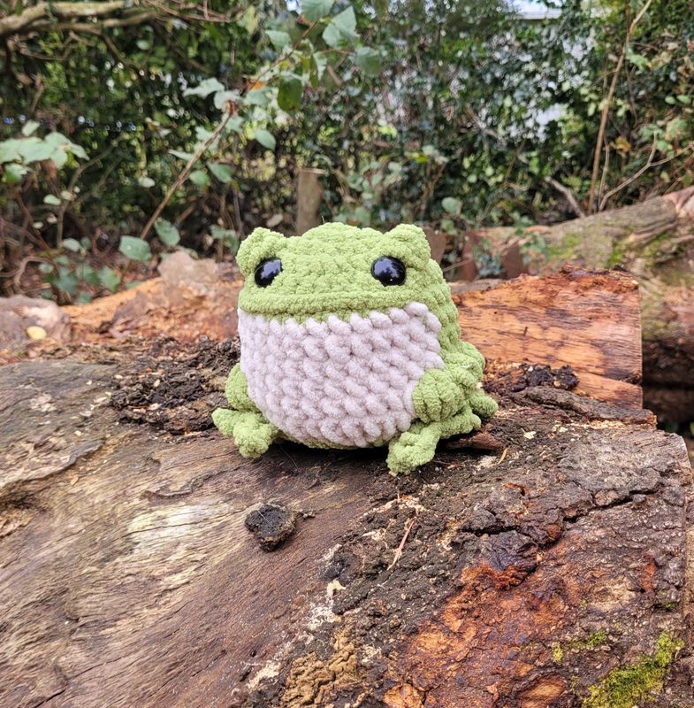 Reggi Frog