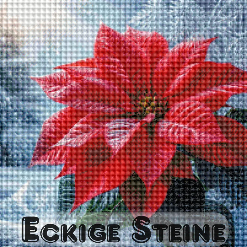 Weihnachtsstern im Schnee