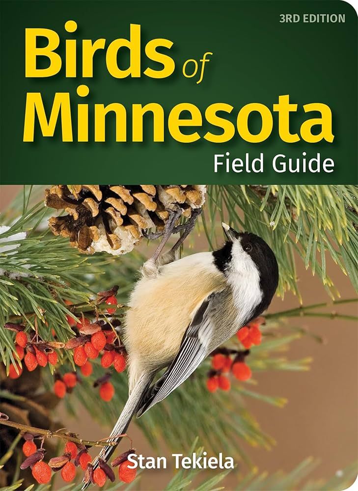 Birds Of MN