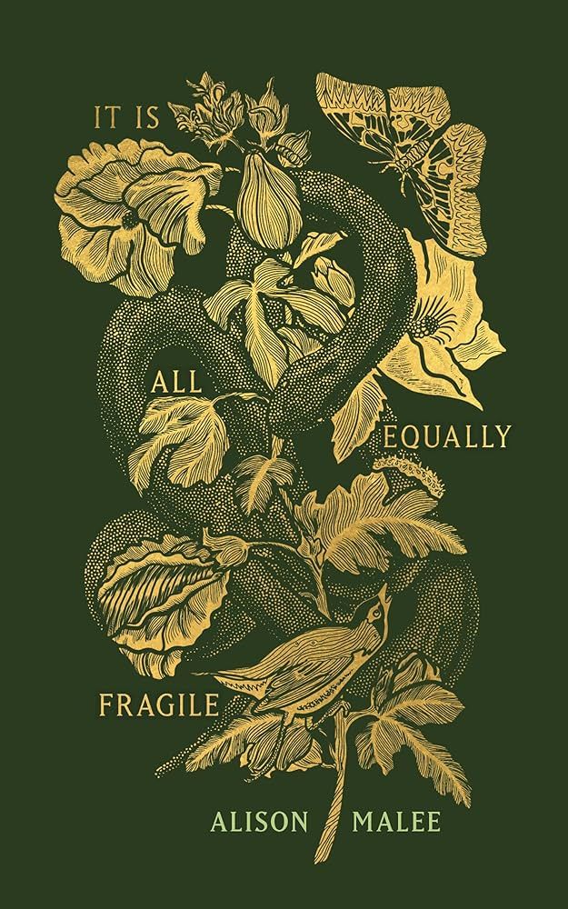 It is All Equally Fragile