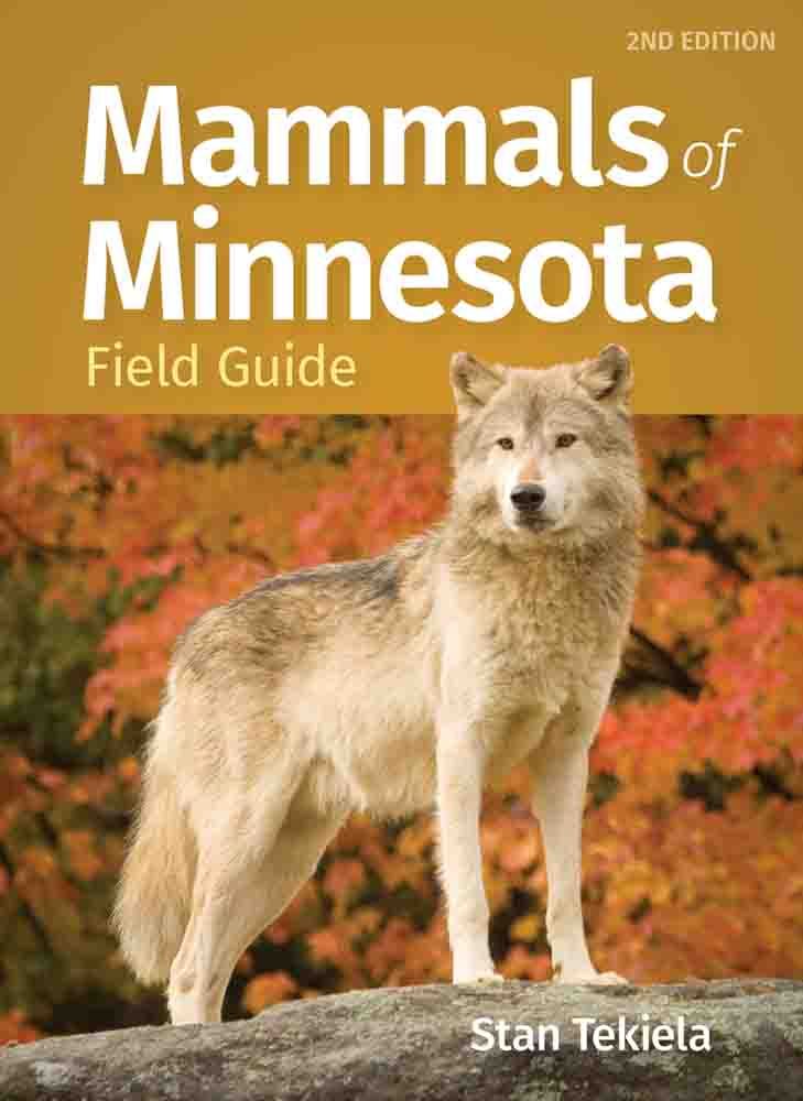 Mammals of Minnesota Field Guide - (Mammal Identification Guides) 2nd Edition by Stan Tekiela (Paperback)