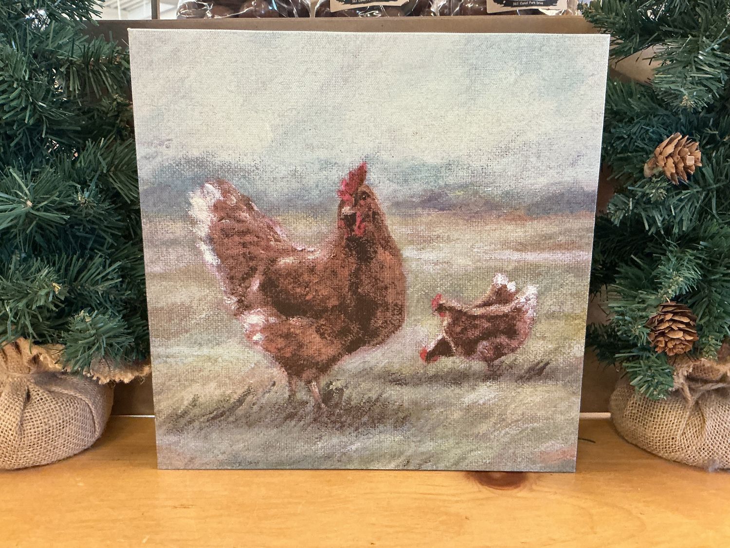 Chicken Canvas Print