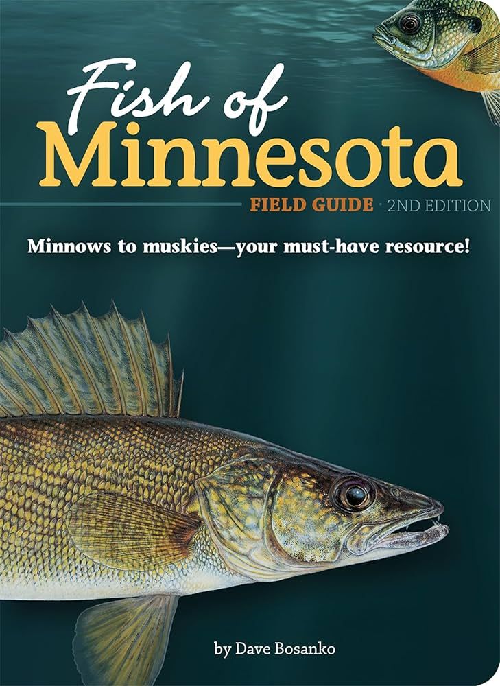 Fish Of Minnesota Field Guide