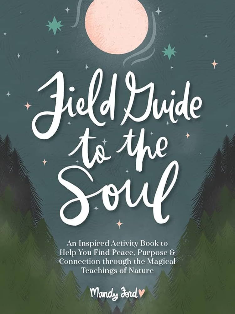 Field Guide to the Soul - by Mandy Ford (Hardcover)