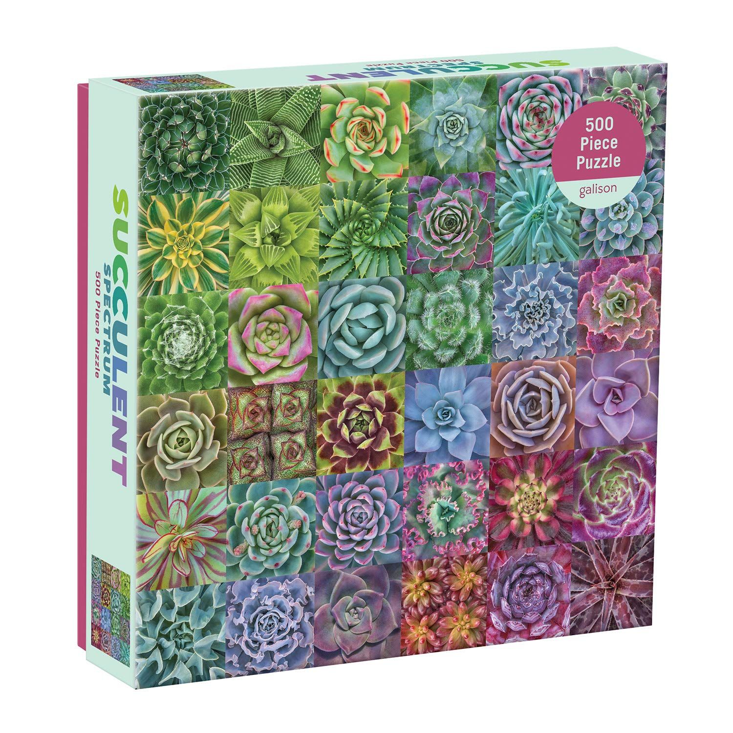 Galison Succulent Spectrum Jigsaw Puzzle, 500 Pieces, 20” x 20'' – Challenging Puzzle with Colorful Succulents – Thick, Sturdy Pieces – Perfect for Family Fun – Fun Indoor Activity, Multicolor by Gali