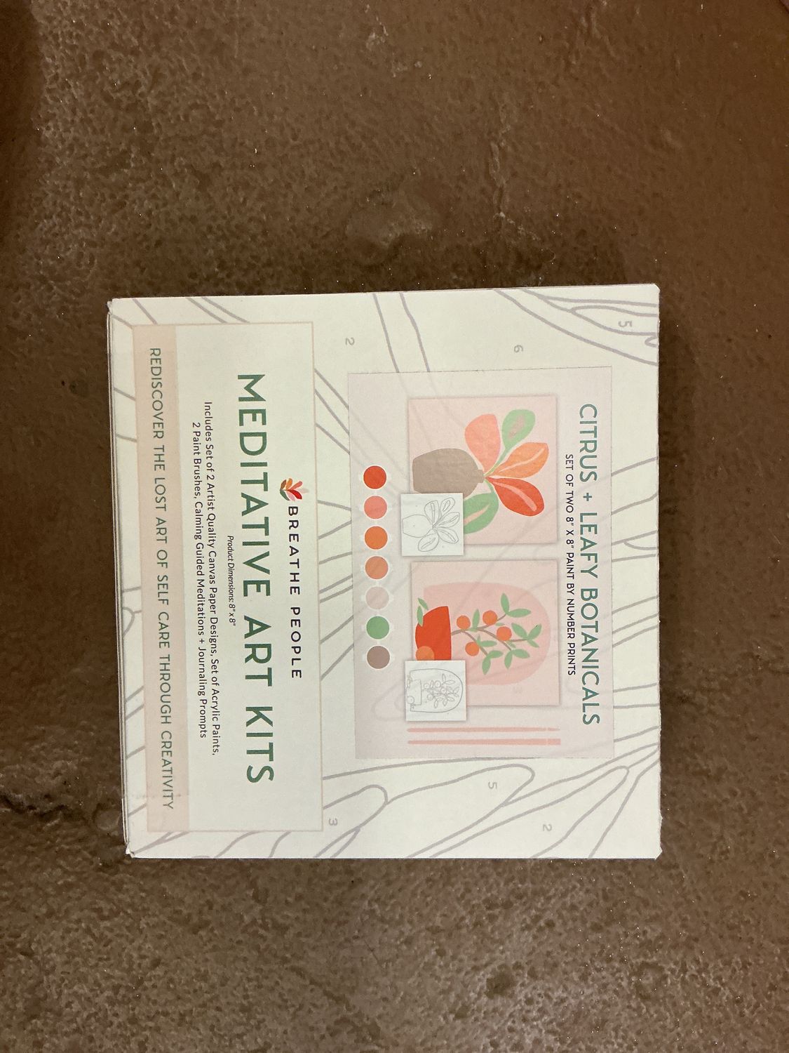 Paint By Number Kit