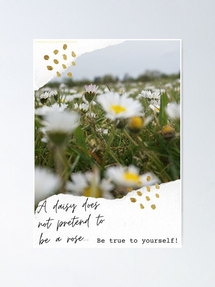 Be True To Yourself Daisy Sign