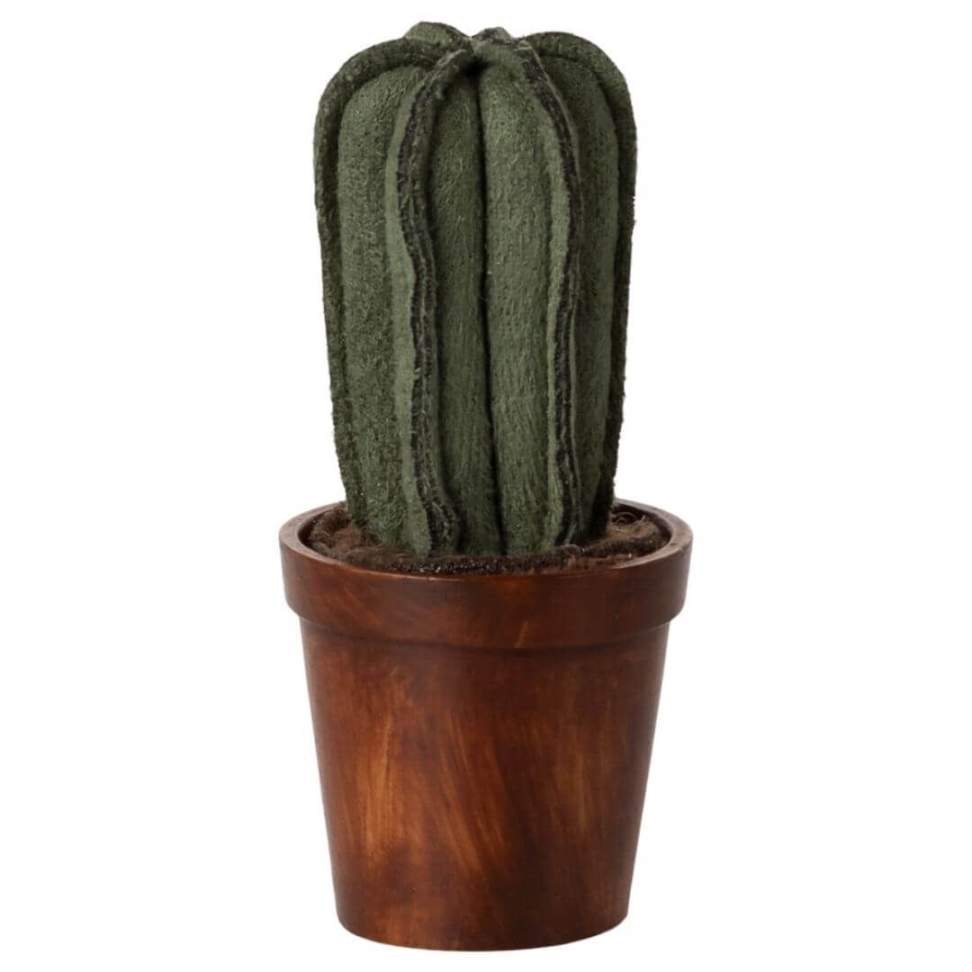 Cactus Sitter