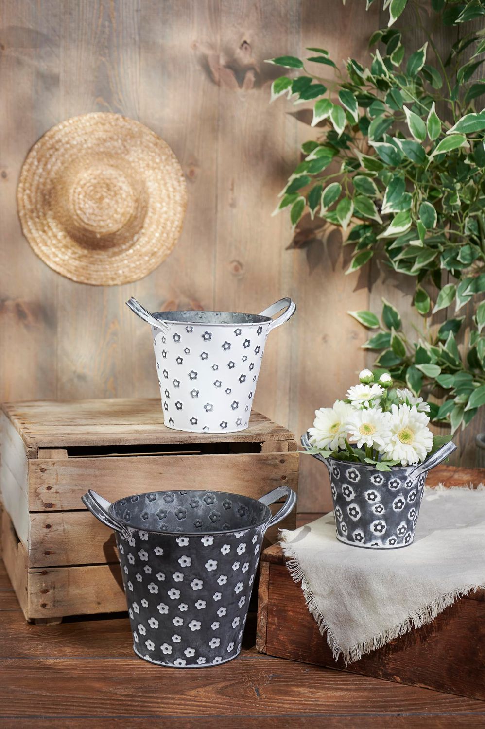 Large Daisy Bucket