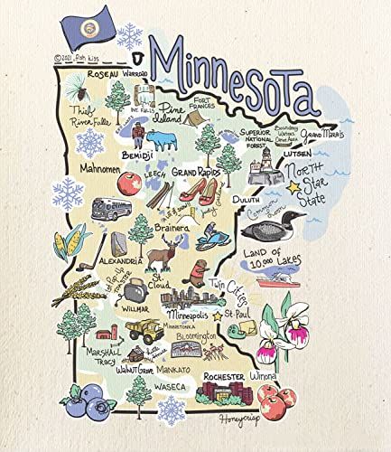 Minnesota Wet It Swedish Dish Cloth