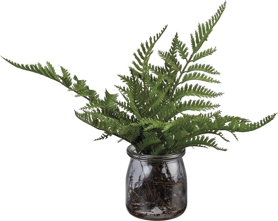Primitive by Kathy Floral Fern in Pot