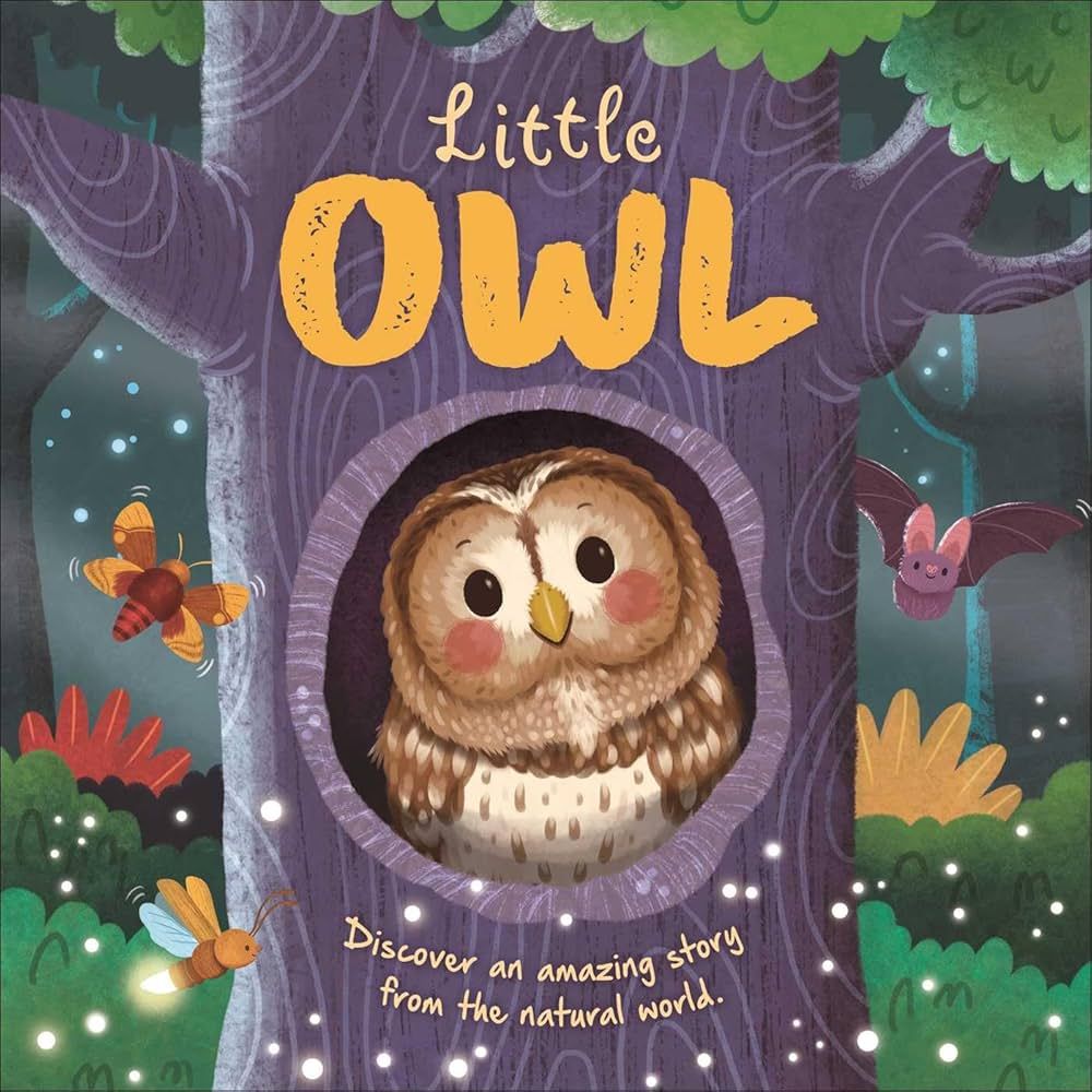 Nature Stories: Little Owl-Discover an Amazing Story from the Natural World - by Igloobooks &amp; Rose Harkness (Board Book)
