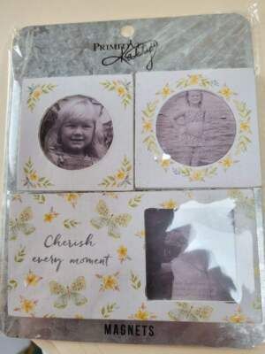 Yellow Butterfly Photo Magnet Set