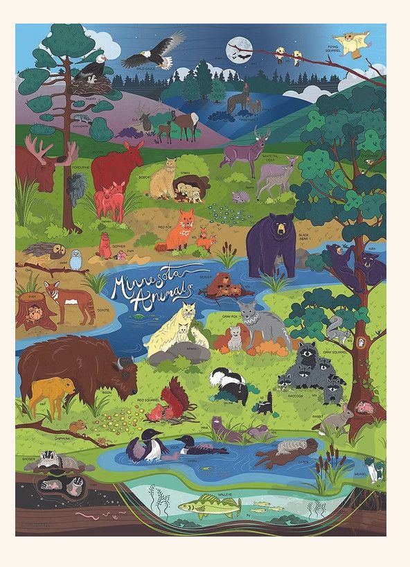 Minnesota Animals Puzzle | Rice Creative Services