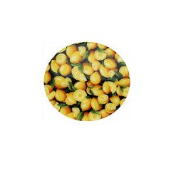 Jar Opener, Lemons | Andrea's Silicone Trivets