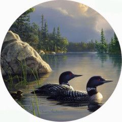 Jar Opener, Gathering Storm | Andrea's Silicone Trivets