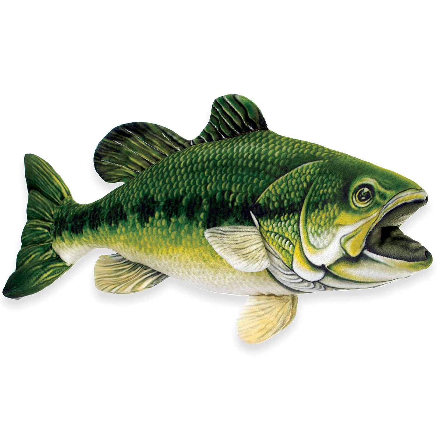 Largemouth Bass Fish 10