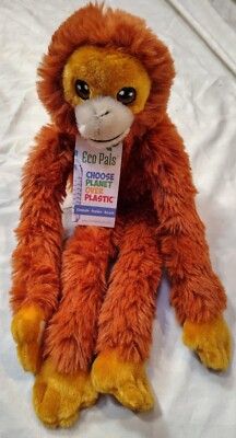 ECP Hanging Orangutan 19