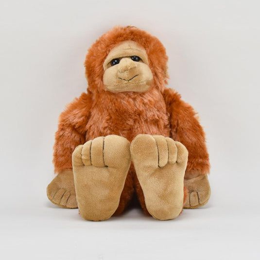 Big Foot/Sasquatch 12