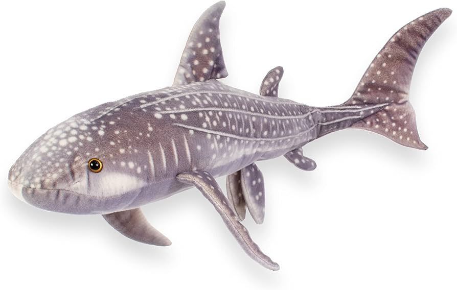 Wild Beans Whale Shark 6