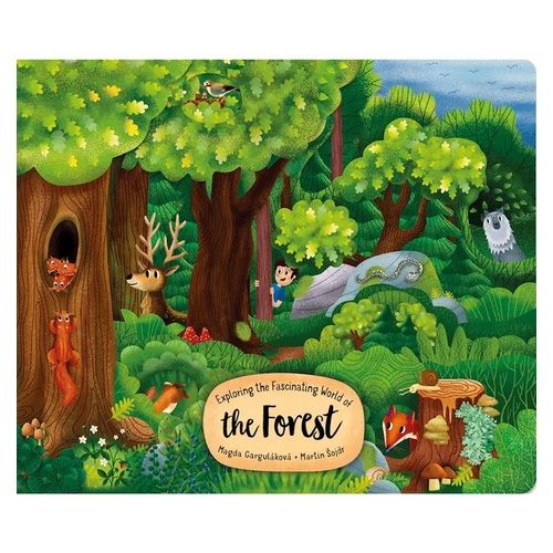 Exploring the Fascinating World of the Forest