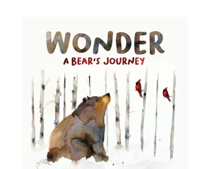 Wonder A Bear's Journey-Hardcover Book