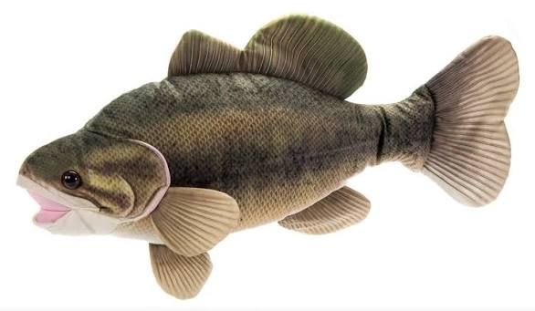 Largemouth Bass Fish 10