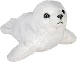 Wild Beans Seal White 5
