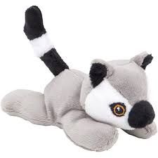 Wild Beans Ring Tailed Lemur 5