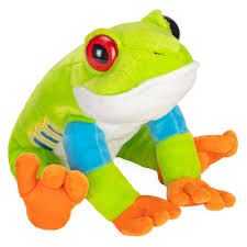 Wild Beans Red Eyed Tree Frog 4