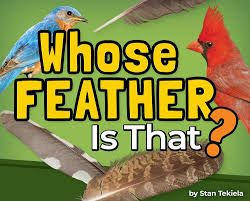 Whose Feather Is That?
