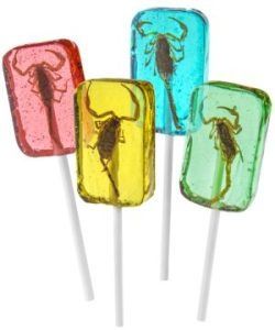 Scorpion Sucker Lollipop, Assorted Flavors