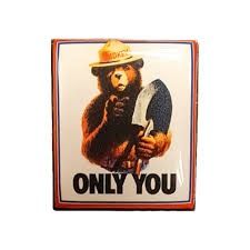 Die Cut Pin Smokey Bear