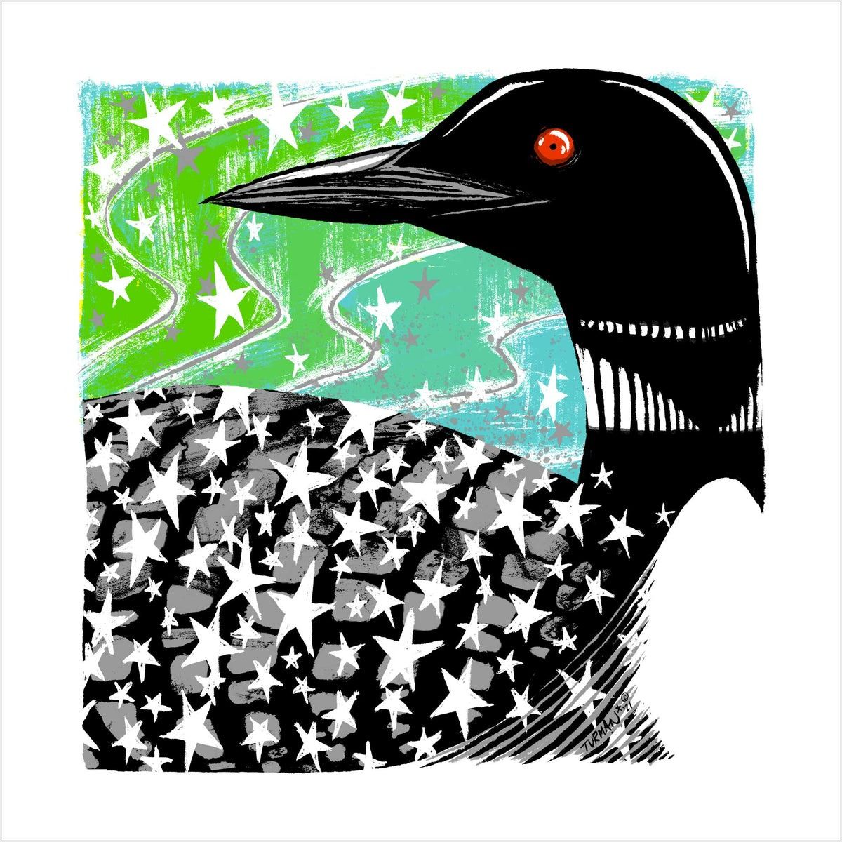 Northern Lites Loon