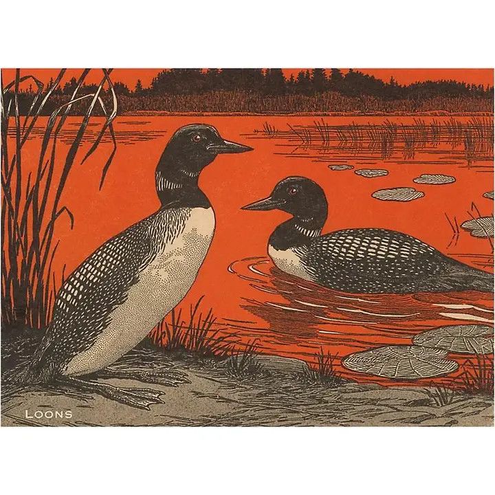 Postcard WD-03 Woodcut of Loons